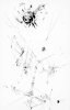 Ralf Ziervogel - Drawings for her pleasure I, 2011, Ink on paper, 100 x 76 cm